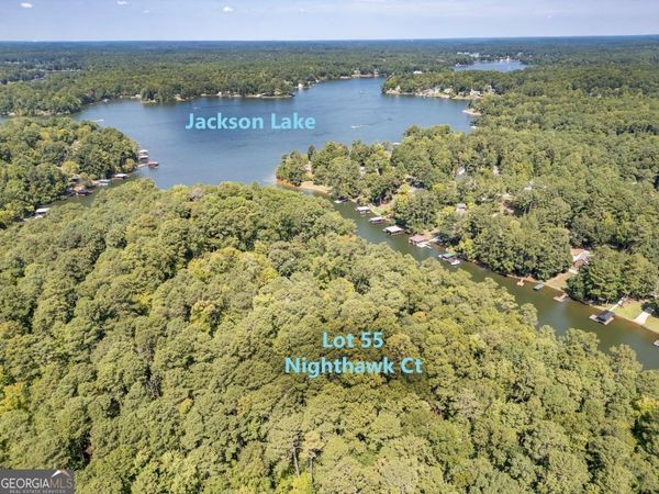 0 Nighthawk Court, Unit LOT 55, Monticello, GA 31064