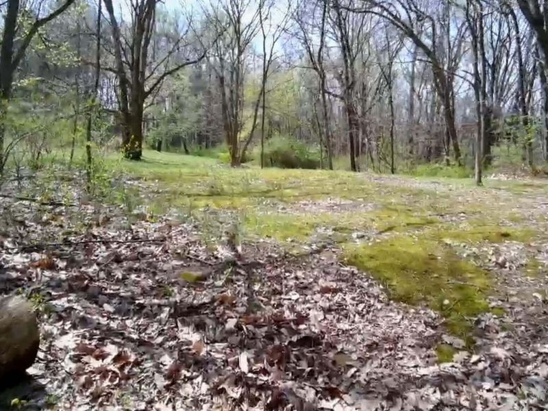 235 Tarkiln Road SE, Lancaster, OH 43130 Photo 60