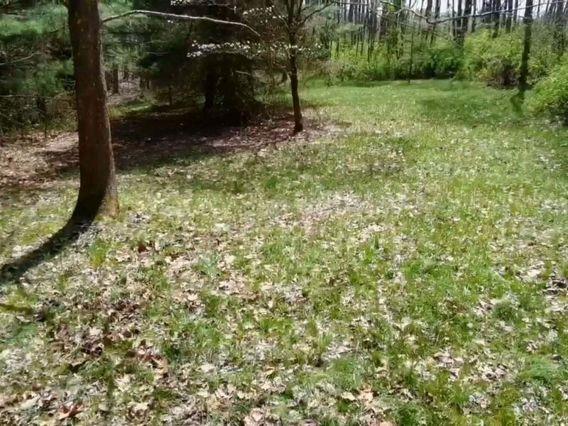 235 Tarkiln Road SE, Lancaster, OH 43130 Photo 65