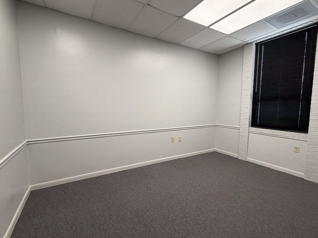 44 Markfield Drive  Photo 5