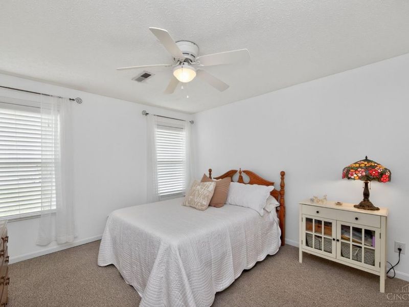 898 Pine Needle Place, Hamilton Twp, OH 45039 Photo 19