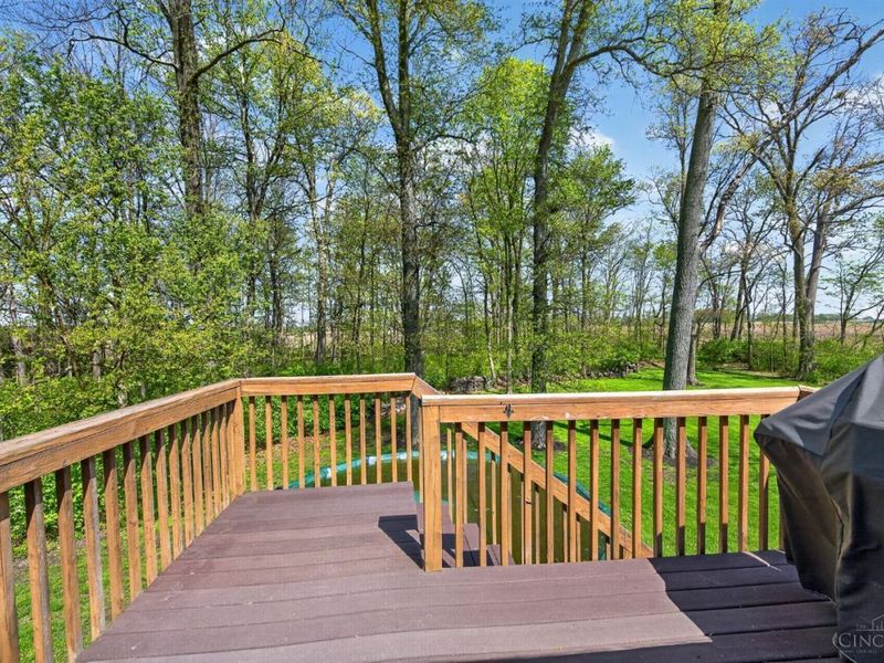 3005 Smith Road, Chester Twp, OH 45177 Photo 69