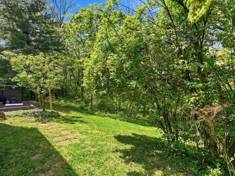 10539 Cinderella Drive, Montgomery, OH 45242 Photo 33