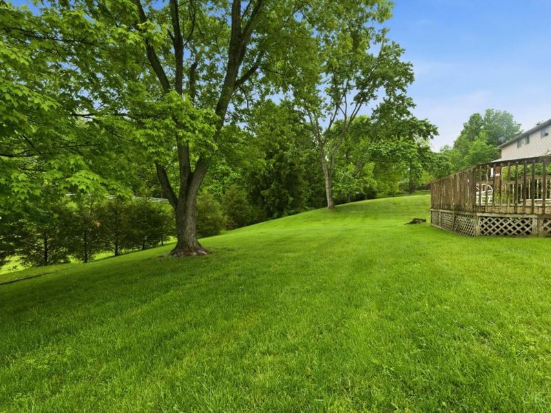 7350 Appleridge Court, Colerain Township, OH 45247 Photo 59