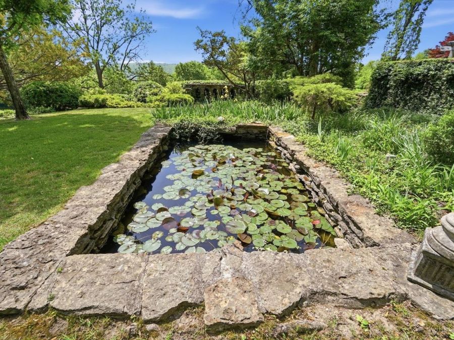 Property Image 87