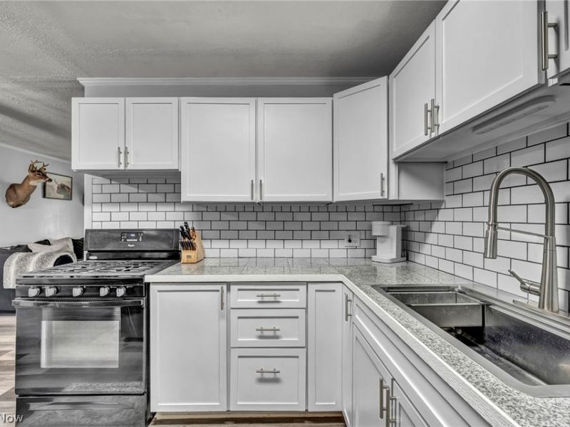 3665 Elmhurst Court , Kent, OH 44240 Photo 8