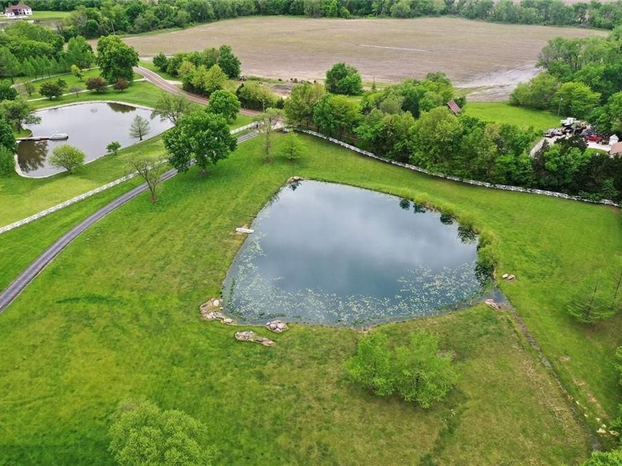 Property Image 91