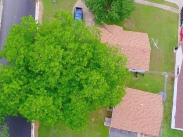903 Caladium Drive, Mesquite, TX 75149