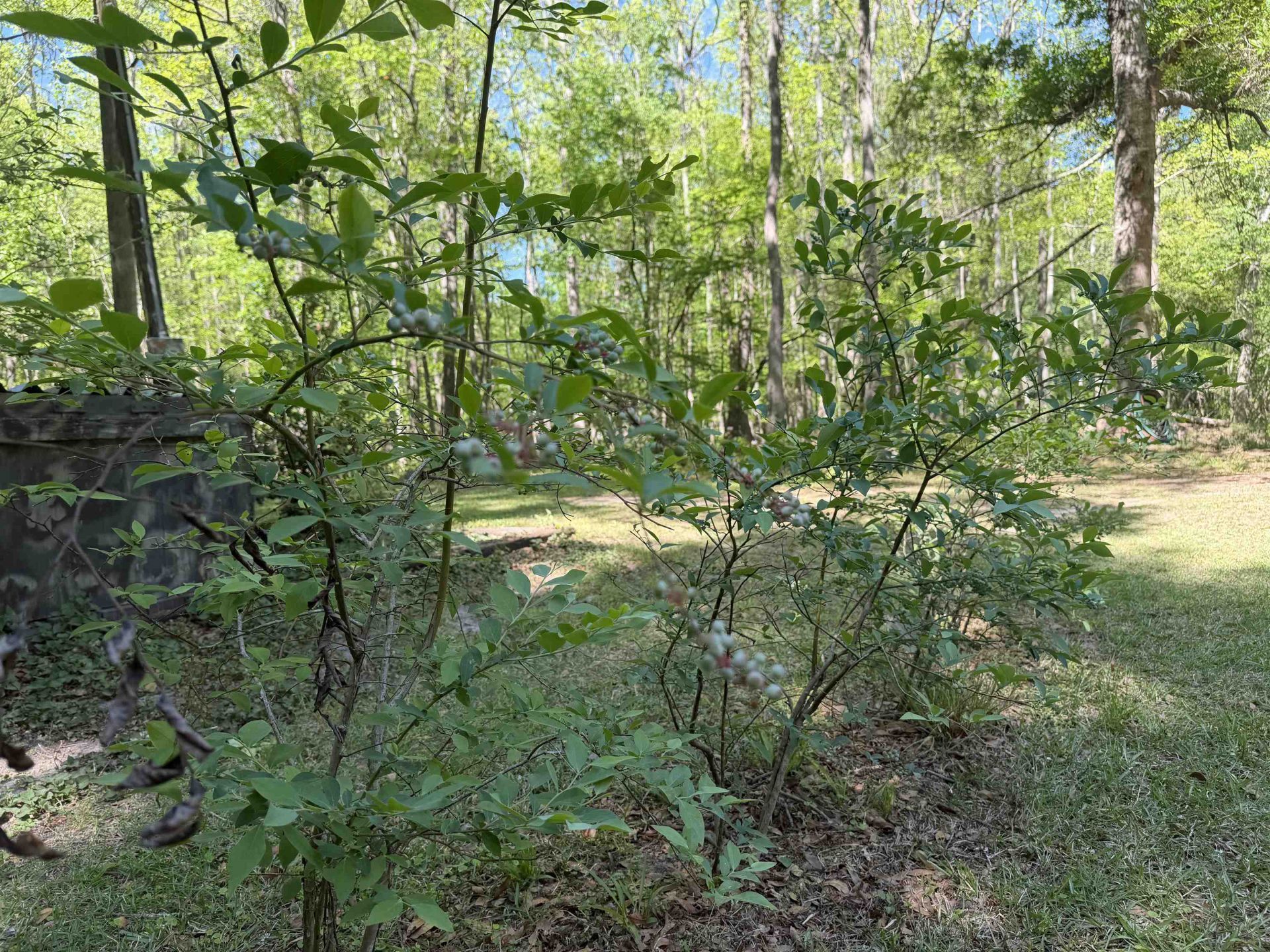 134 Lookout Dr Photo 12
