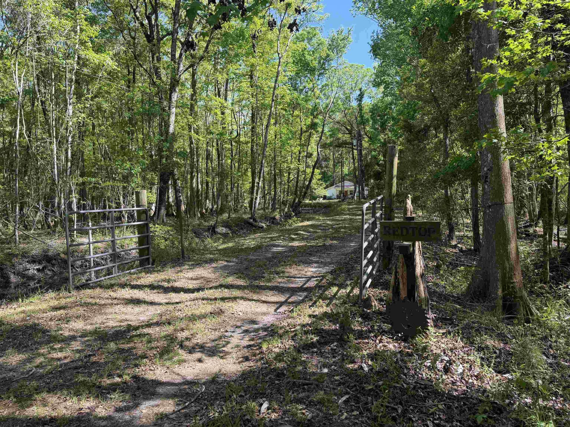 134 Lookout Dr Photo 13