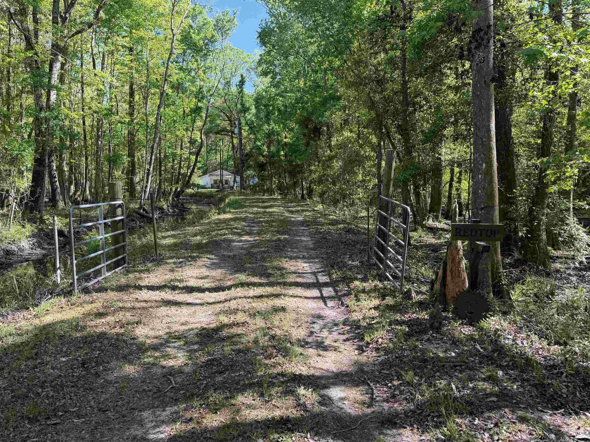 134 Lookout Dr Photo 14