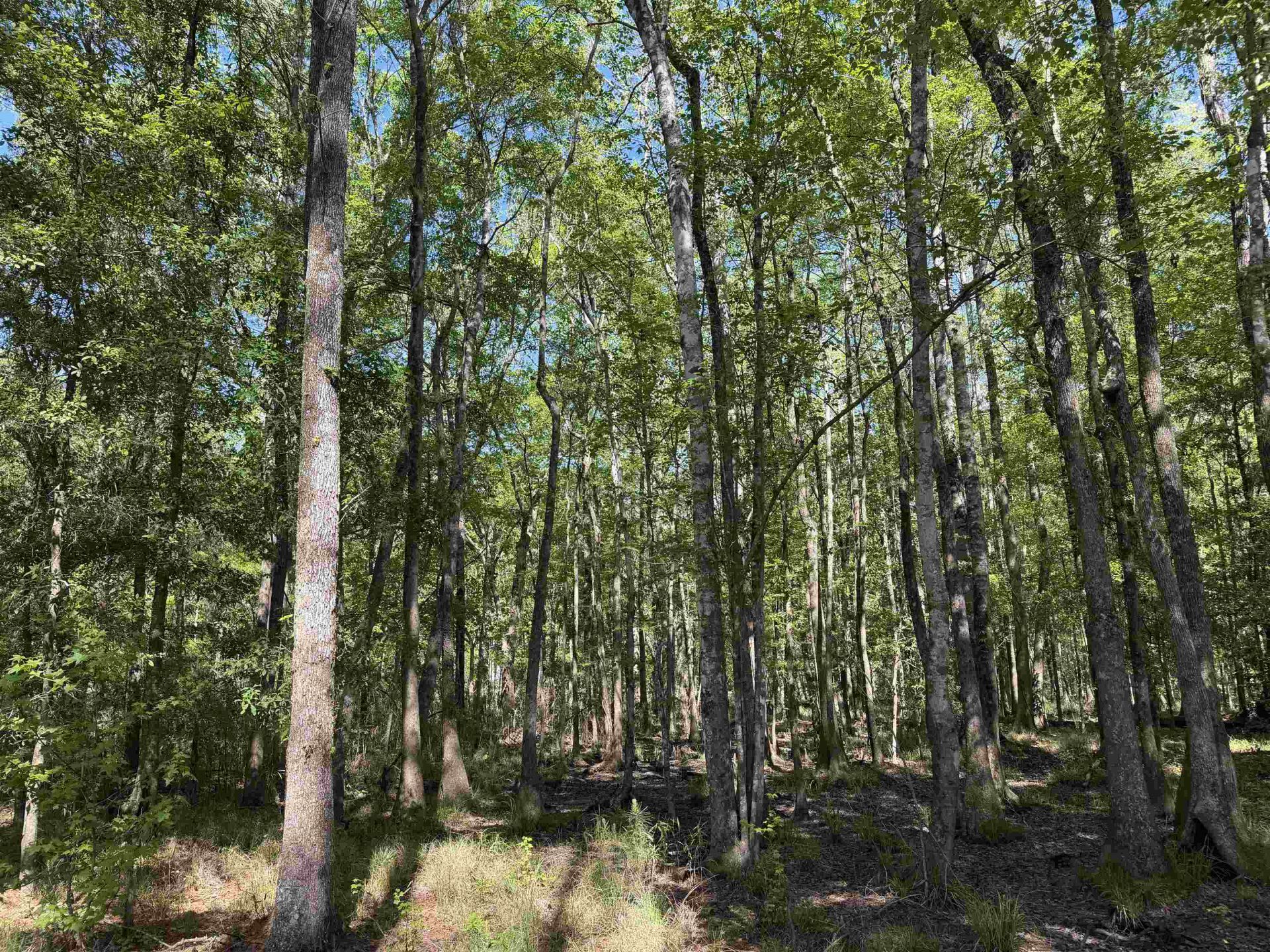 134 Lookout Dr Photo 17