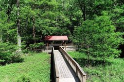 134 Lookout Dr photo 4