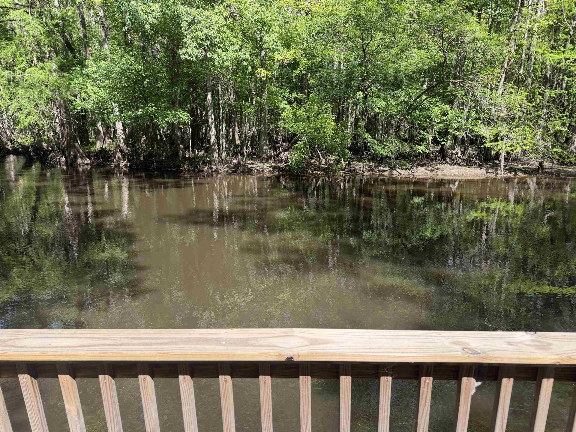 134 Lookout Dr Photo 8