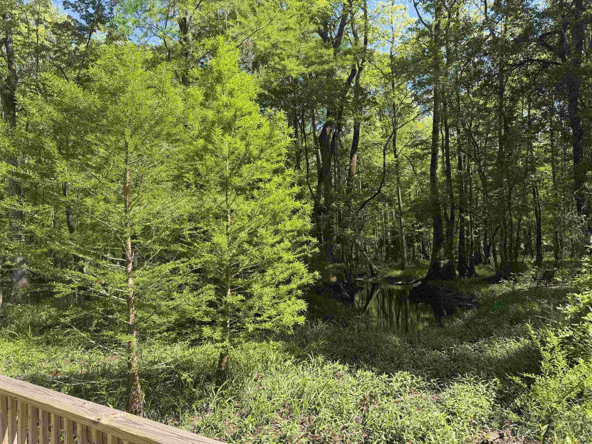 134 Lookout Dr Photo 9