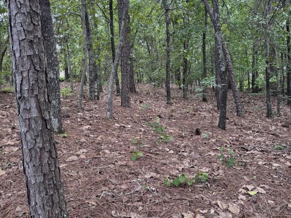 148 Otter Drive , Seven Lakes, NC 27376
