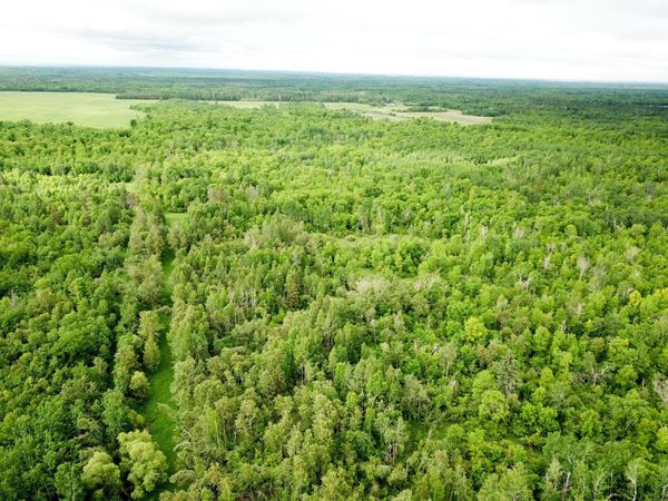 TBD Cormorant Road NE, Kelliher, MN 56650