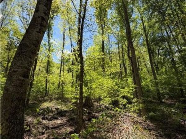 Lot#28 Bluff Ridge Road , West Jefferson, NC 28694