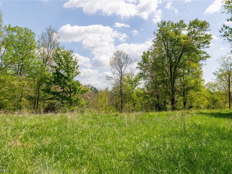 9651 Reno Lane , Hillsboro, OH 45133 Photo 10