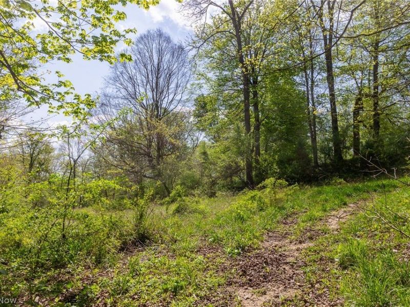 9651 Reno Lane , Hillsboro, OH 45133 Photo 14