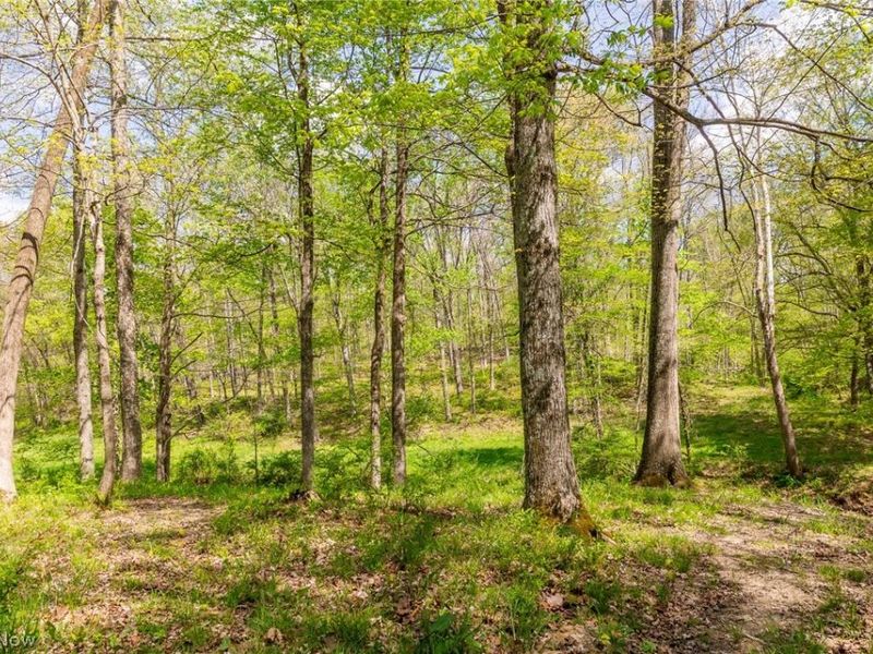 9651 Reno Lane , Hillsboro, OH 45133 Photo 18