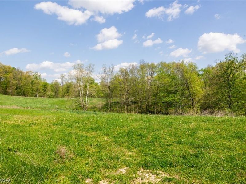 9651 Reno Lane , Hillsboro, OH 45133 Photo 3