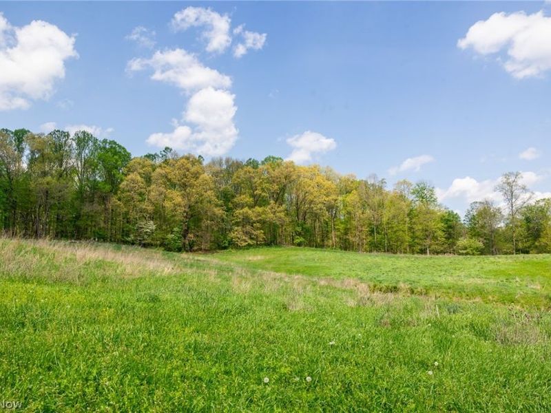 9651 Reno Lane , Hillsboro, OH 45133 Photo 4