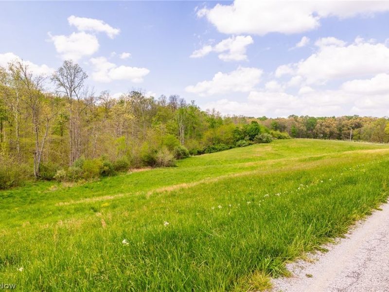 9651 Reno Lane , Hillsboro, OH 45133 Photo 15