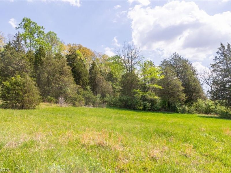 9651 Reno Lane , Hillsboro, OH 45133 Photo 3