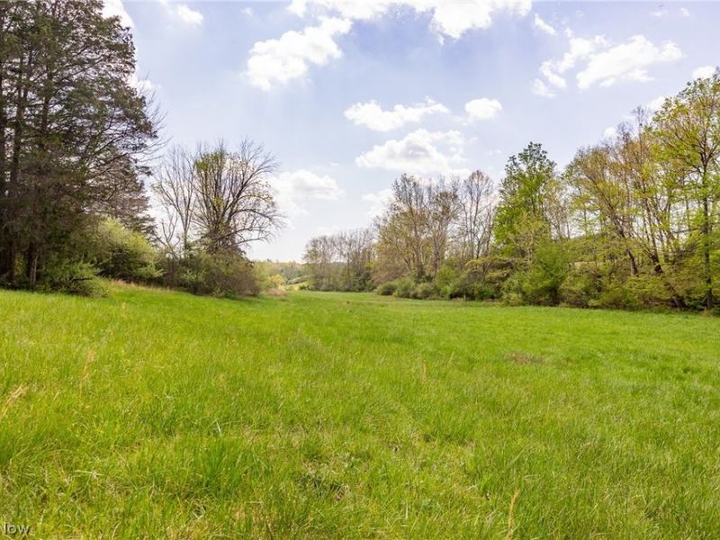 9651 Reno Lane , Hillsboro, OH 45133 Photo 5