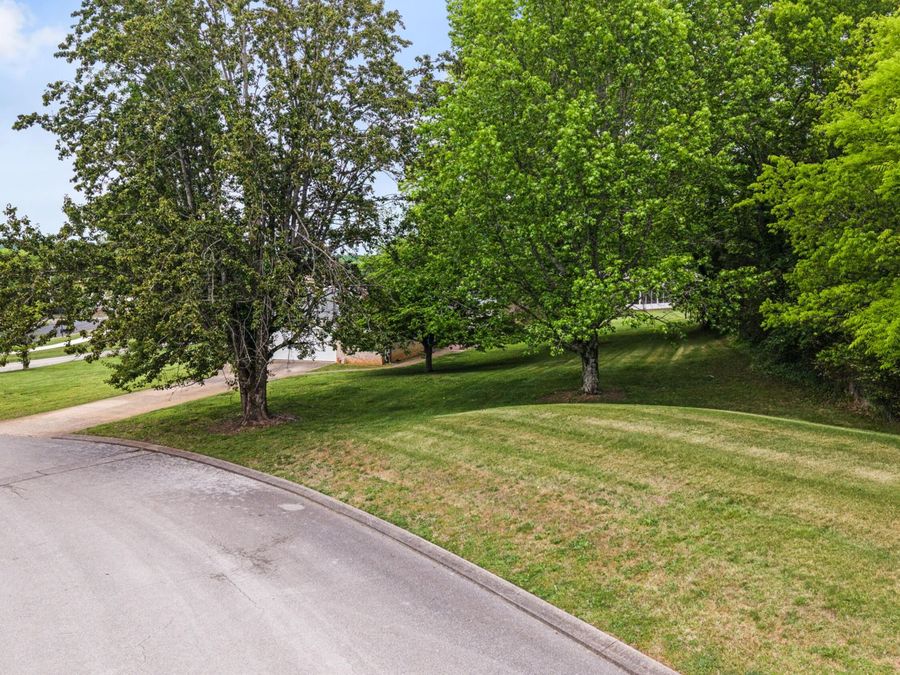 Property Image 35