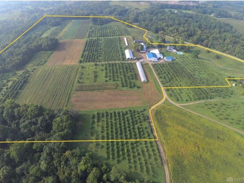 9319 Wesler Road, New Paris, OH 45347 Photo 10