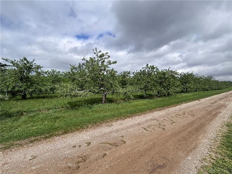 9319 Wesler Road, New Paris, OH 45347 Photo 84