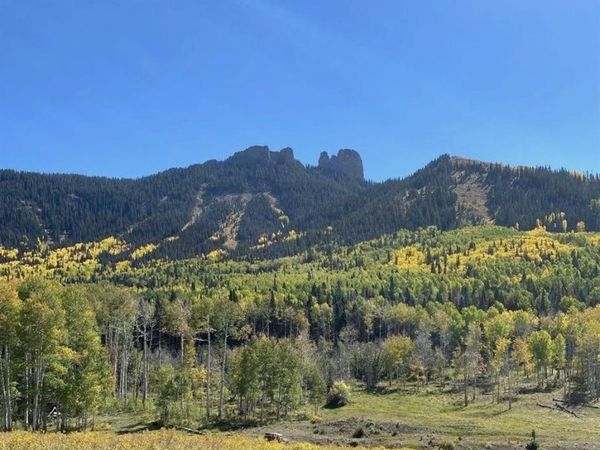 Tbd Forest Service Road 814, Crawford, CO 81434