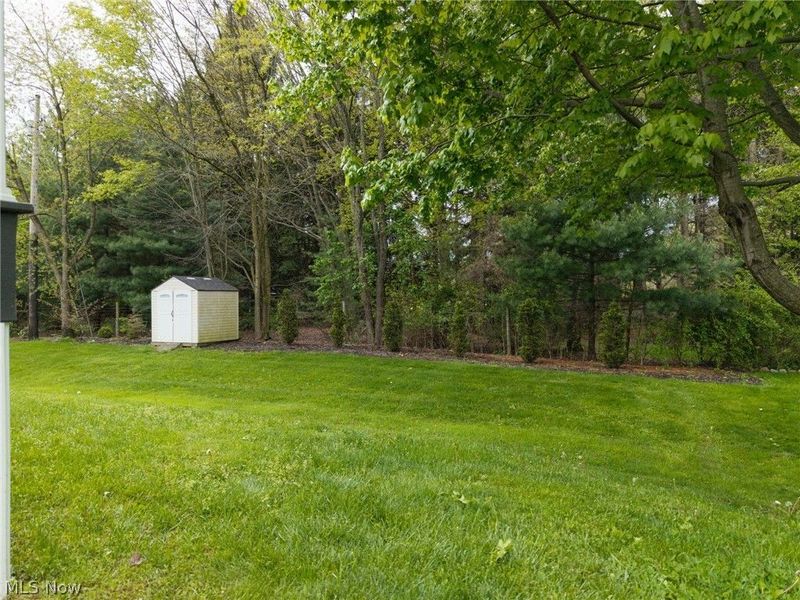 714 Whippoorwill Lane, Wadsworth, OH 44281 Photo 3