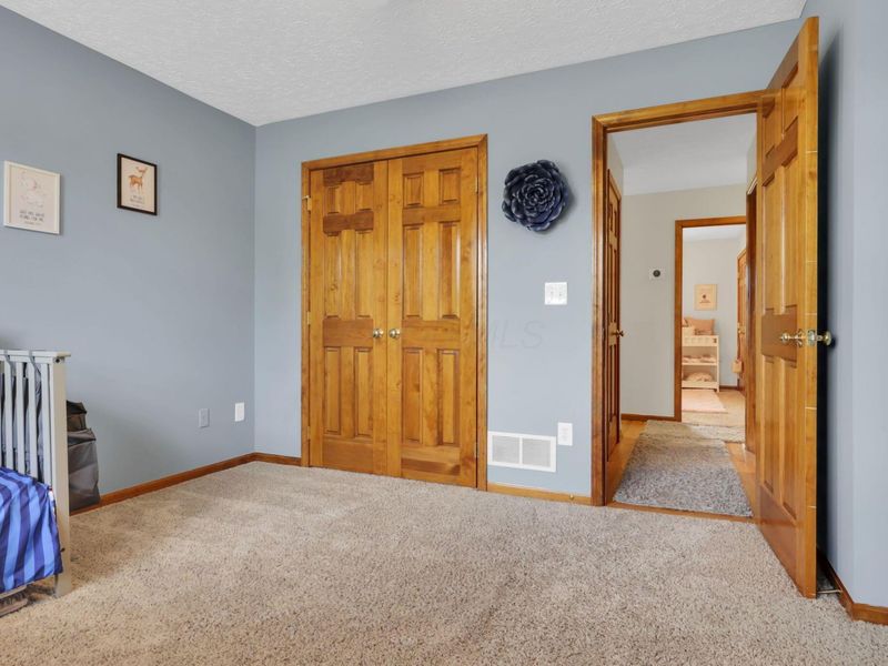 10119 Fairfield Farms Drive, Canal Winchester, OH 43110 Photo 53