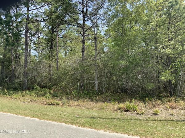 1434 Mockingbird Place SW, Shallotte, NC 28470