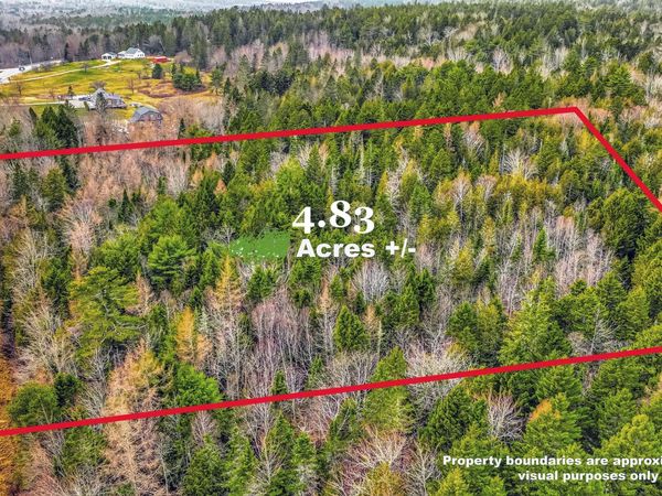 0 Swamp Road, Gouldsboro, ME 04607