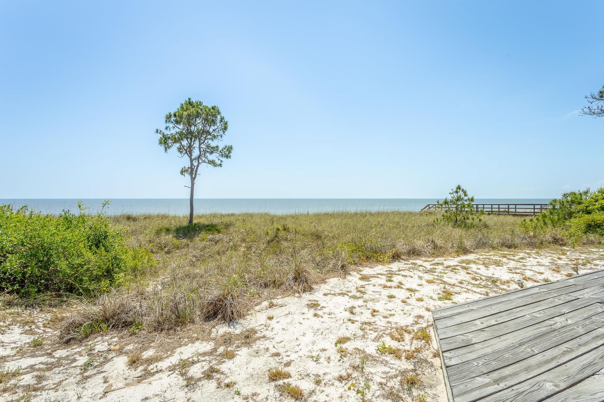 1505 Alligator Drive, Alligator Point, FL 32346 Photo