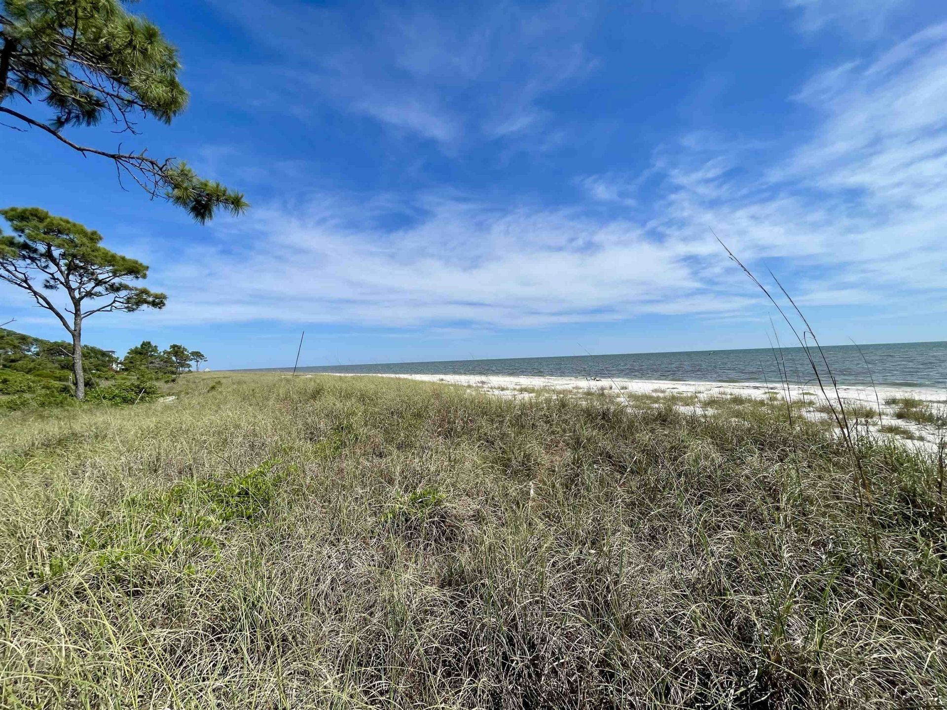1505 Alligator Drive, Alligator Point, FL 32346 Photo