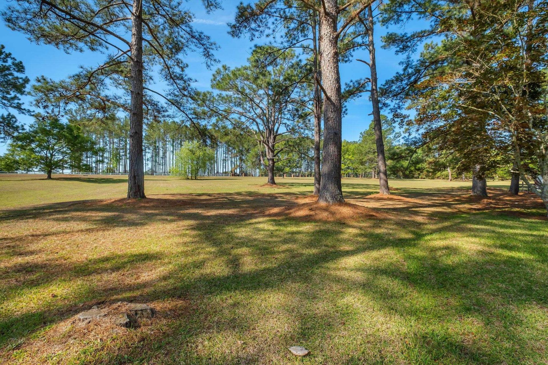142 Lake Laurie Circle, Quincy, FL 00000 Photo