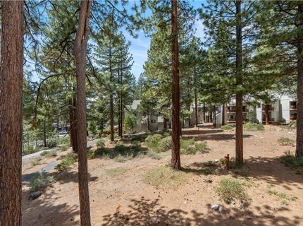 807 Alder, Unit 62, Incline Village, NV 89451 Photo