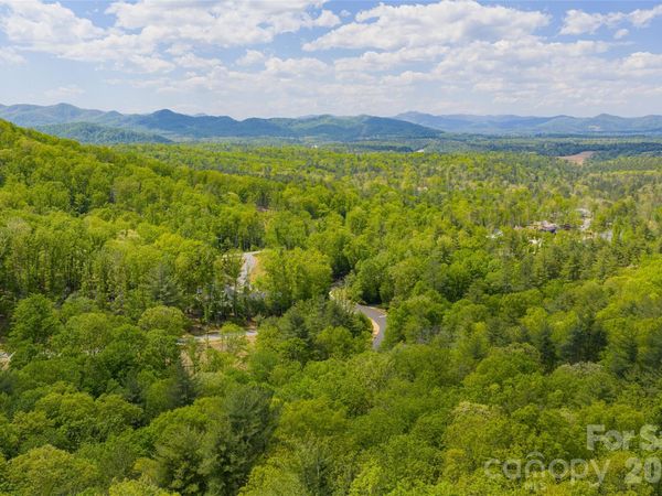 693 Tea House Drive, Asheville, NC 28803