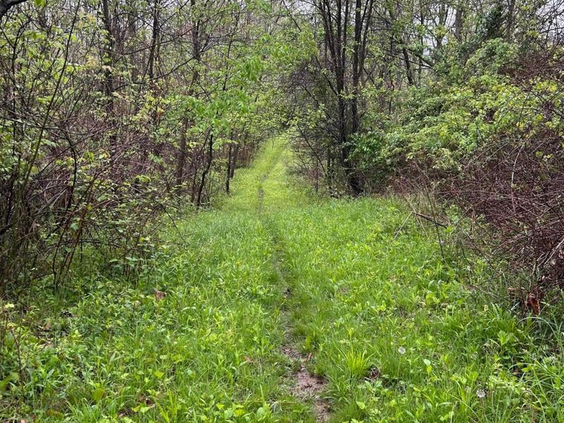 14179 Vance Road, Mount Vernon, OH 43050 Photo 30