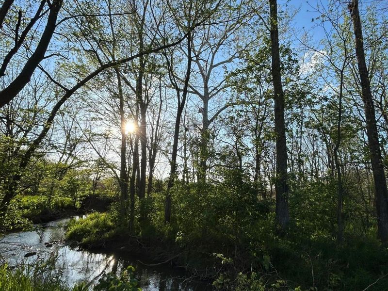 14179 Vance Road, Mount Vernon, OH 43050 Photo 34