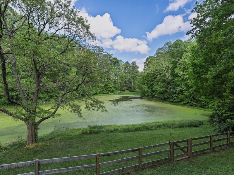 6 Scott Drive, Butler, KY 41006 Photo 22