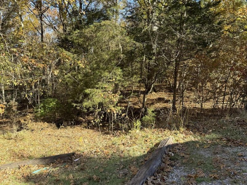 2755 Davis Lake Road, Owenton, KY 40359 Photo 22