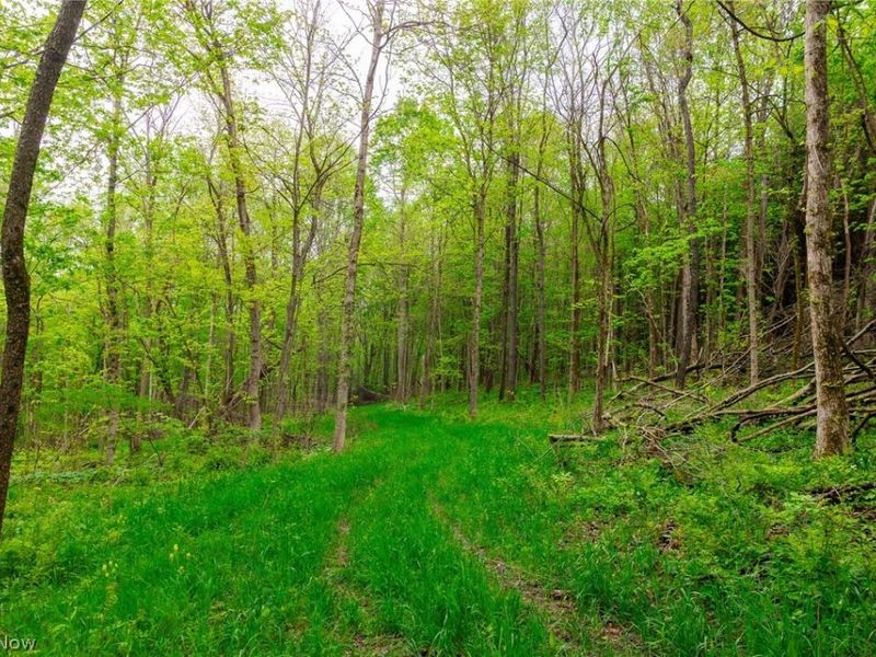53320 County Road 425 , Fresno, OH 43824 Photo 13