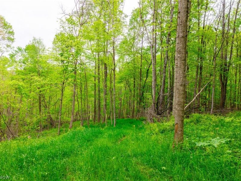 53320 County Road 425 , Fresno, OH 43824 Photo 14