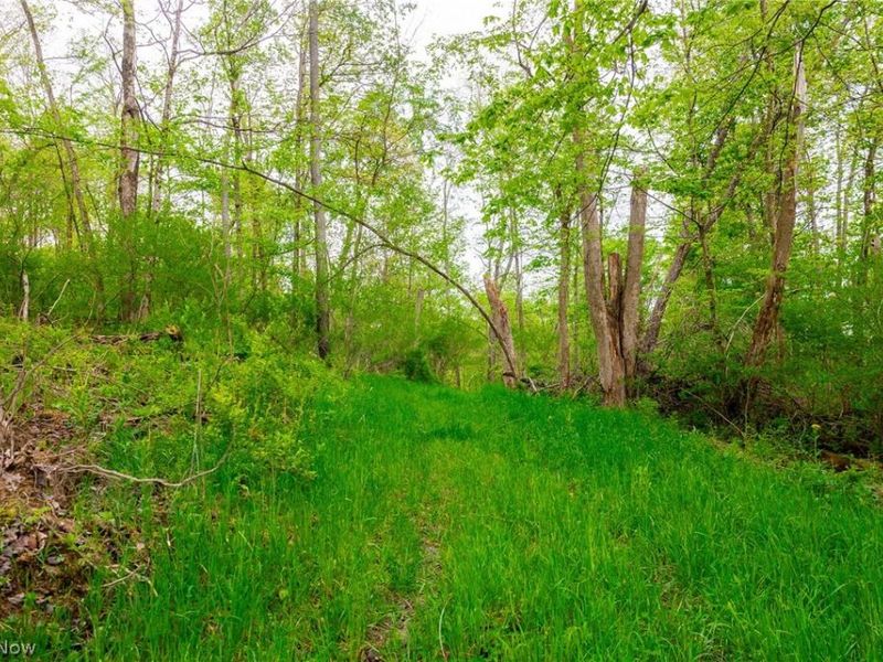 53320 County Road 425 , Fresno, OH 43824 Photo 18